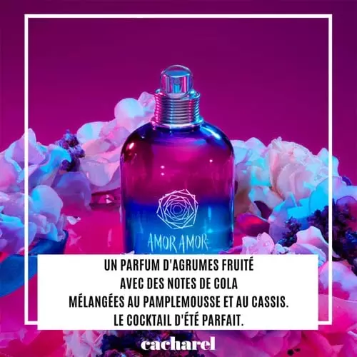 composition parfum amor amor