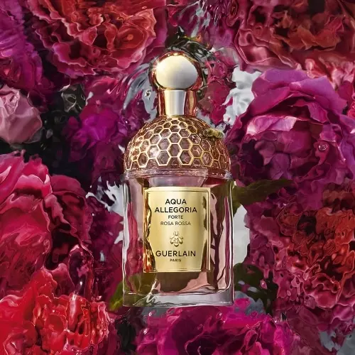 AQUA ALLEGORIA FORTE Rosa Rossa - Eau de Parfum 3346470144705_1.jpg