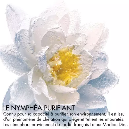 SKINCARE Démaquillant Yeux et Lèvres Soin biphasé à l'extrait de nymphéa purifiant 3348901719964_1.jpg