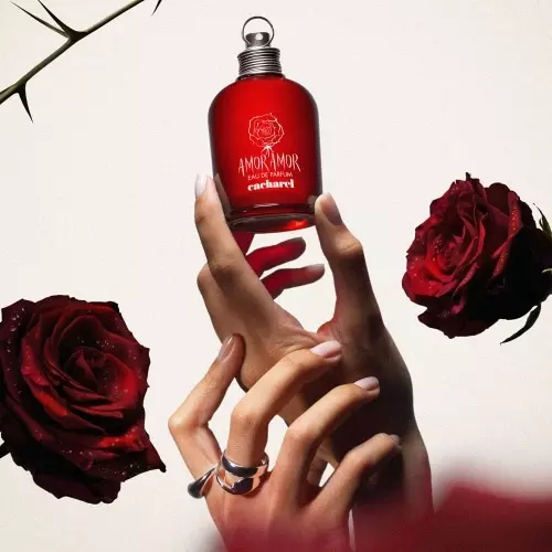 AMOR AMOR Eau de Parfum Vaporisateur 3614274304374_3.jpg