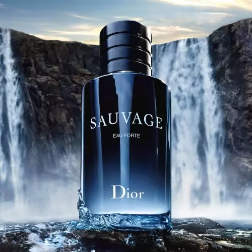 SAUVAGE EAU FORTE PARFUM Fresh, intense notes 3348901728829_2.jpg