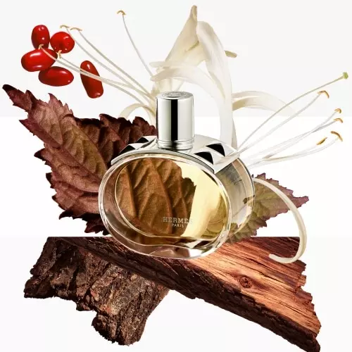 BARÉNIA Eau de parfum 3346130431800_4.jpg