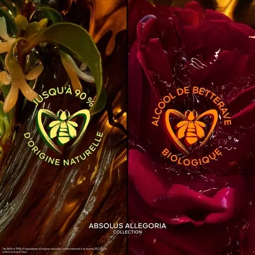 LES ABSOLUS ALLEGORIA Cuir Intense Eau de Parfum 3346470148321_3.jpg