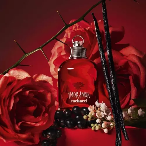 AMOR AMOR Coffret Eau de Toilette et Laits Pour Le Corps 3614274306576_1.jpg