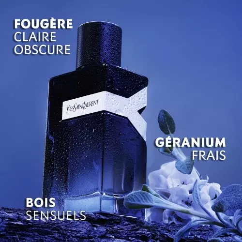 Y  Eau de Parfum Vaporisateur 3614272050341_3.jpg