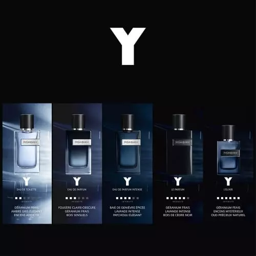 Y  Eau de Parfum Vaporisateur 3614272050341_5.jpg