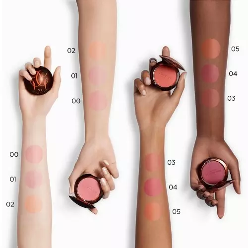 TERRACOTTA BLUSH  Blush for a healthy glow 3346470440364_5.jpg