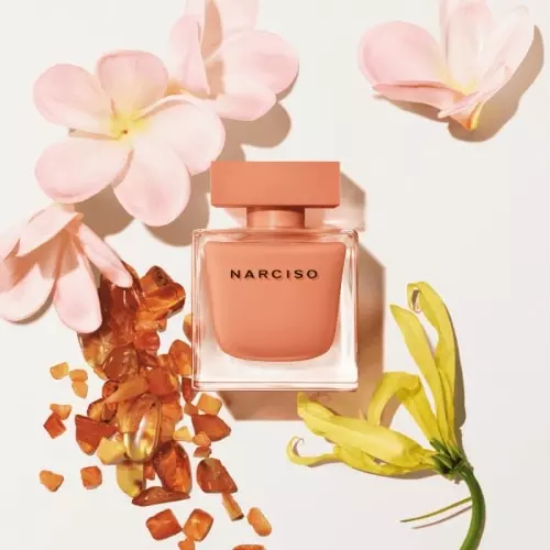 NARCISO AMBRÉE Eau de Parfum 3423473053750_2.png