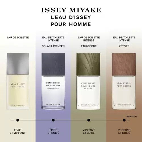 L'EAU D'ISSEY POUR HOMME Eau de Toilette 3423470311358_4.png