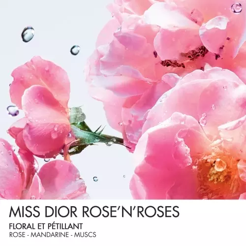 MISS DIOR ROSE N'ROSES Eau de Toilette Roller-Pearl 3348901544047_2.jpg